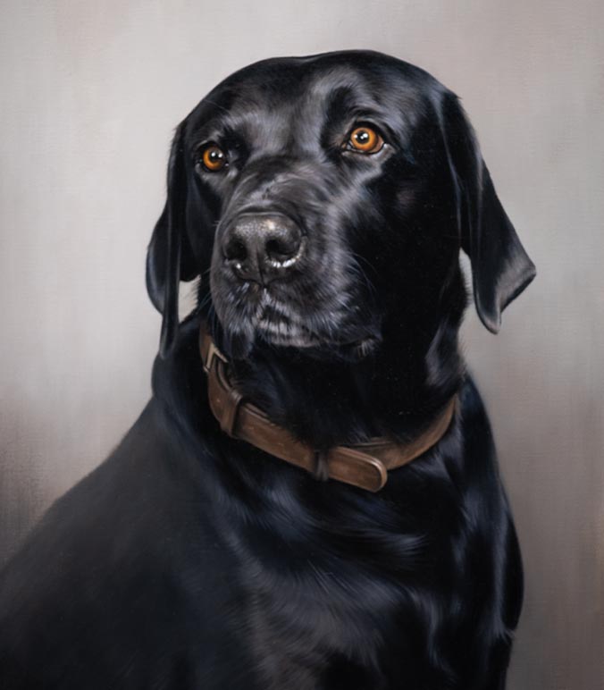 Oil painting of a Black Labrador