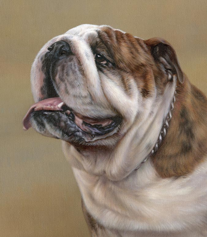 Oil painting of an english bull dog