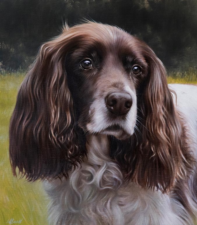 Oil painting of a springer spaniel