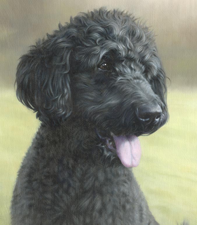 Oil painting of a Labradoodle