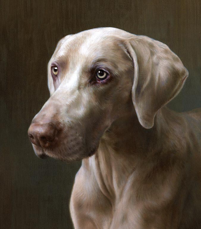Oil painting of a Weimaraner