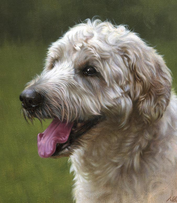 Oil painting of a Labradoodle