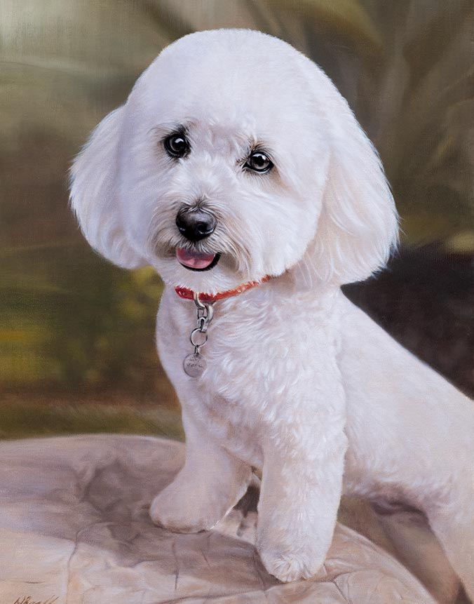 Oil painting of Bichon Friese in Background