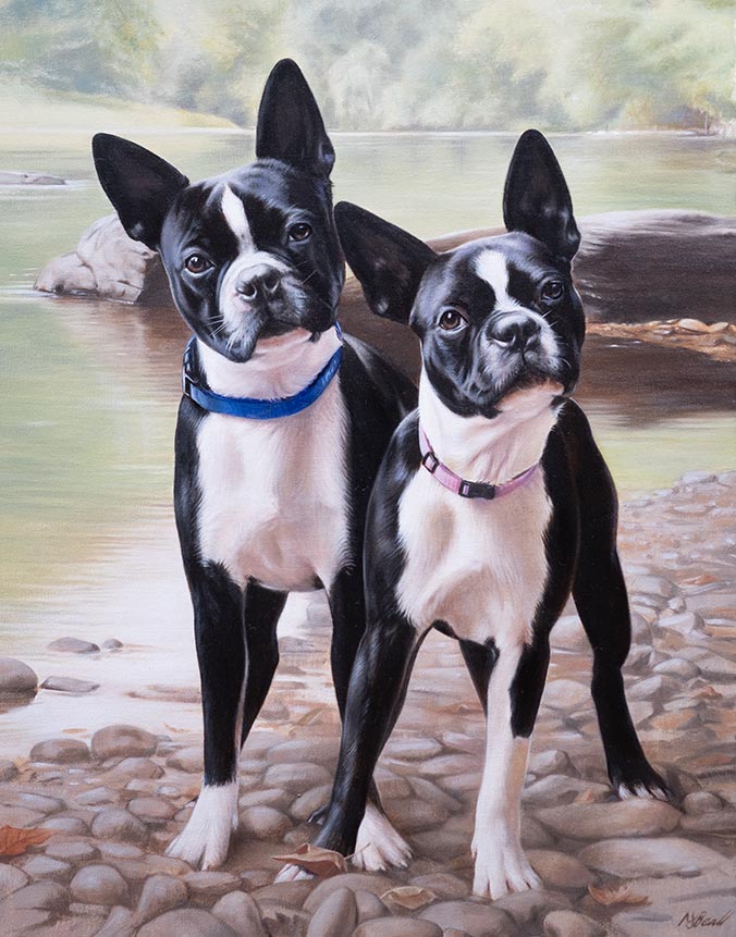 Oil painting of Boston Terriers in Background