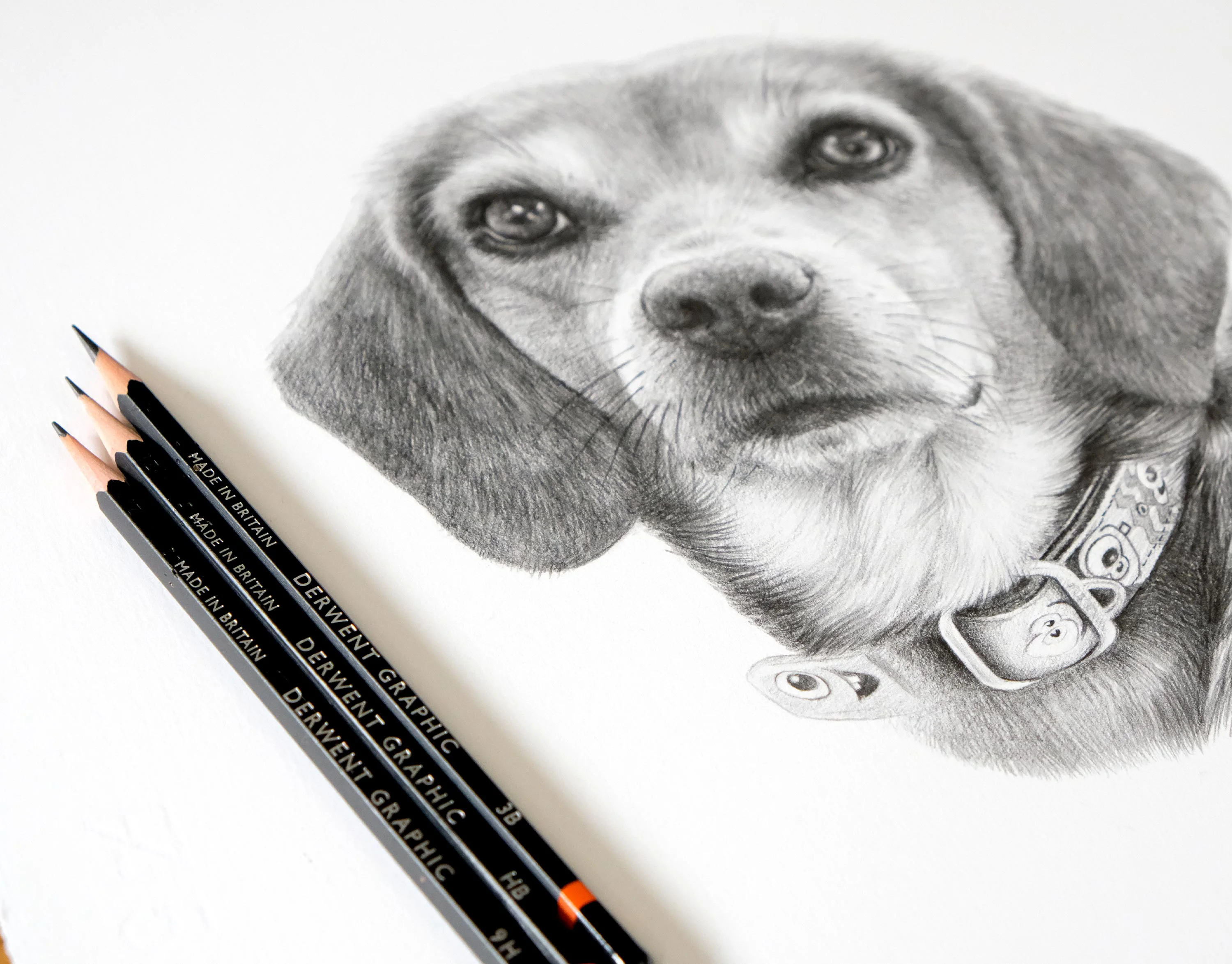 Close-up of a lifelike Beagle's face in pencil, showing intricate details, with graphite pencils positioned on the left.