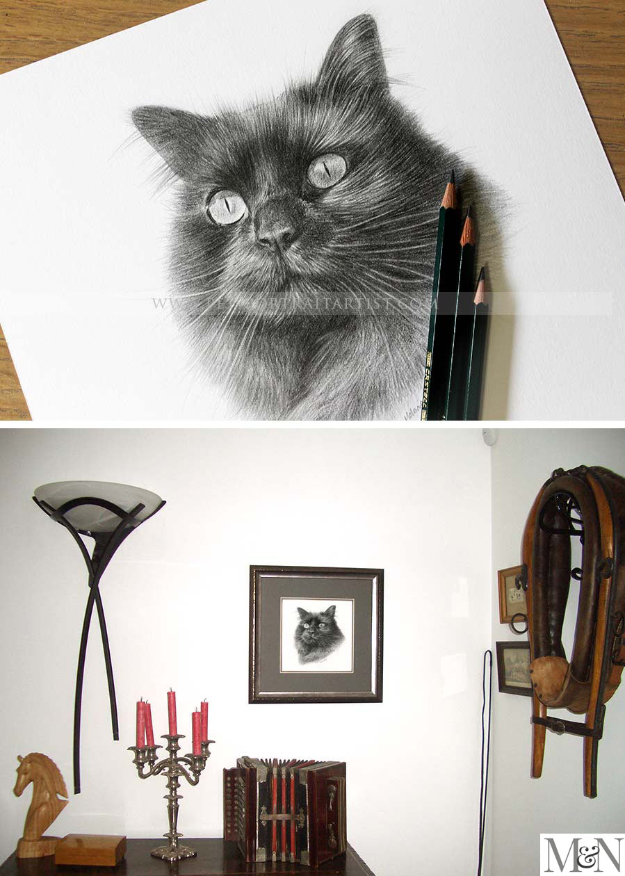 cat portraits pencil