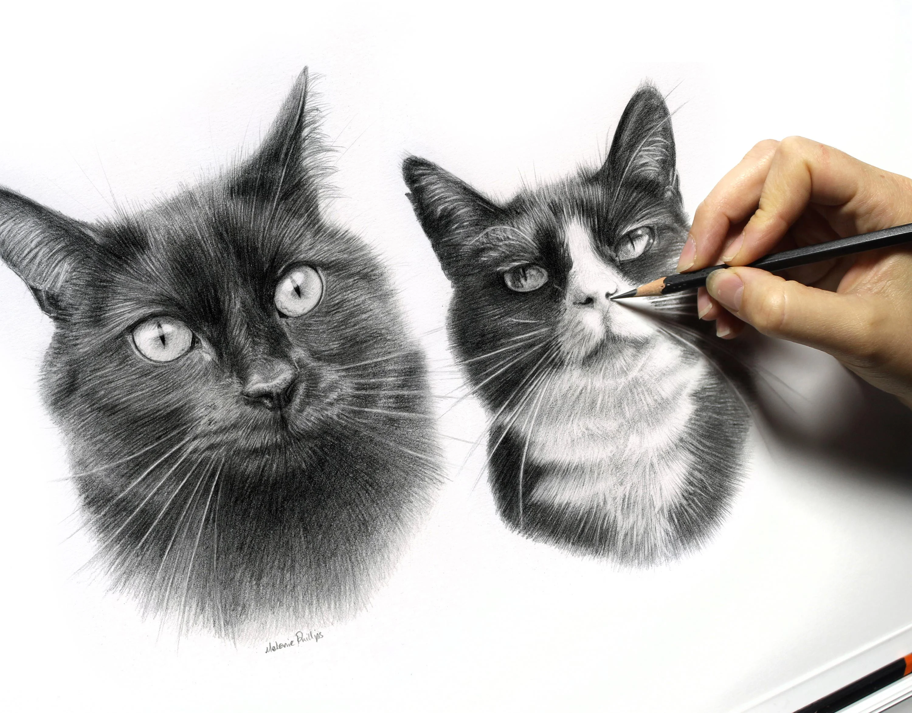 Realistic pencil drawing of a long-haired black cat, Pixie or Boots, with Derwent pencils resting beside the artwork.