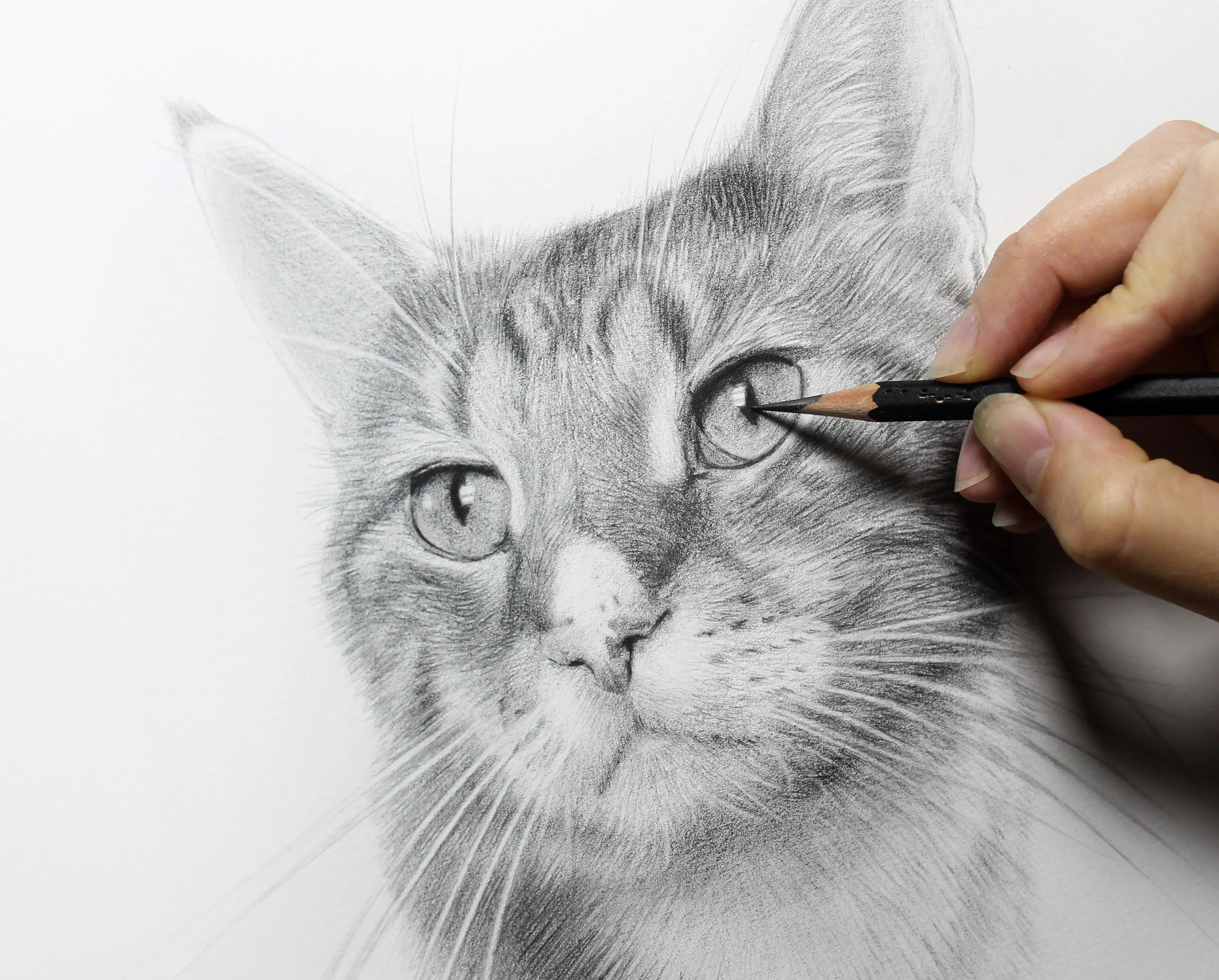 Smiling woman standing proudly beside a framed pencil portrait of her tabby cat, Tyson.