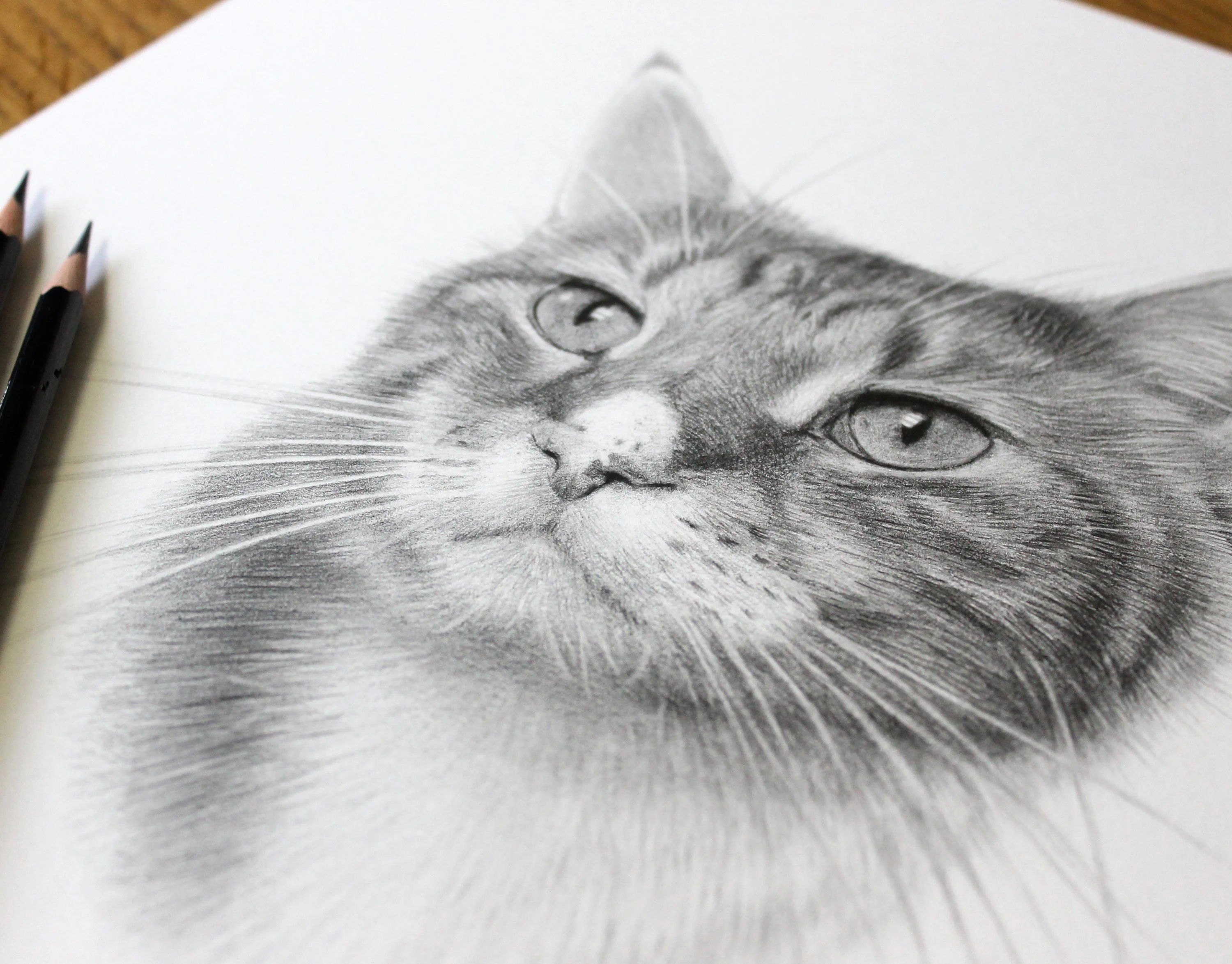 Realistic pencil drawing of a tabby cat (Tyson) in progress, with a black pencil resting on the paper.