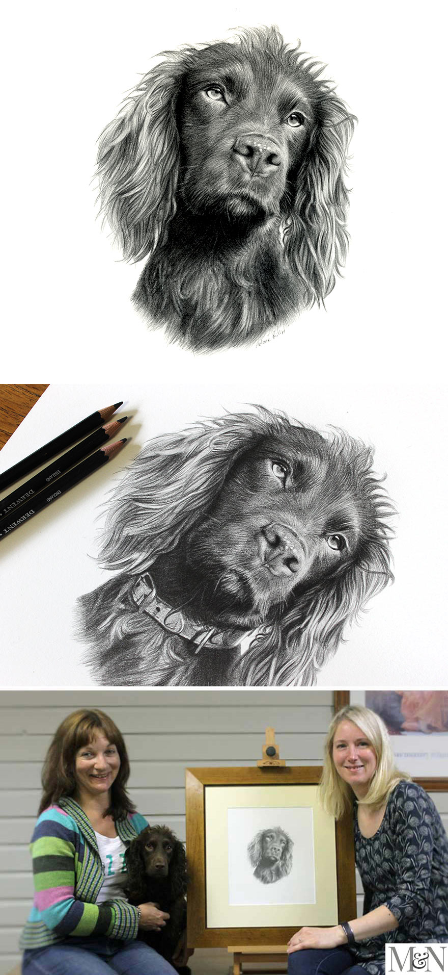 Cocker Spaniel Pencil Pet Portraits