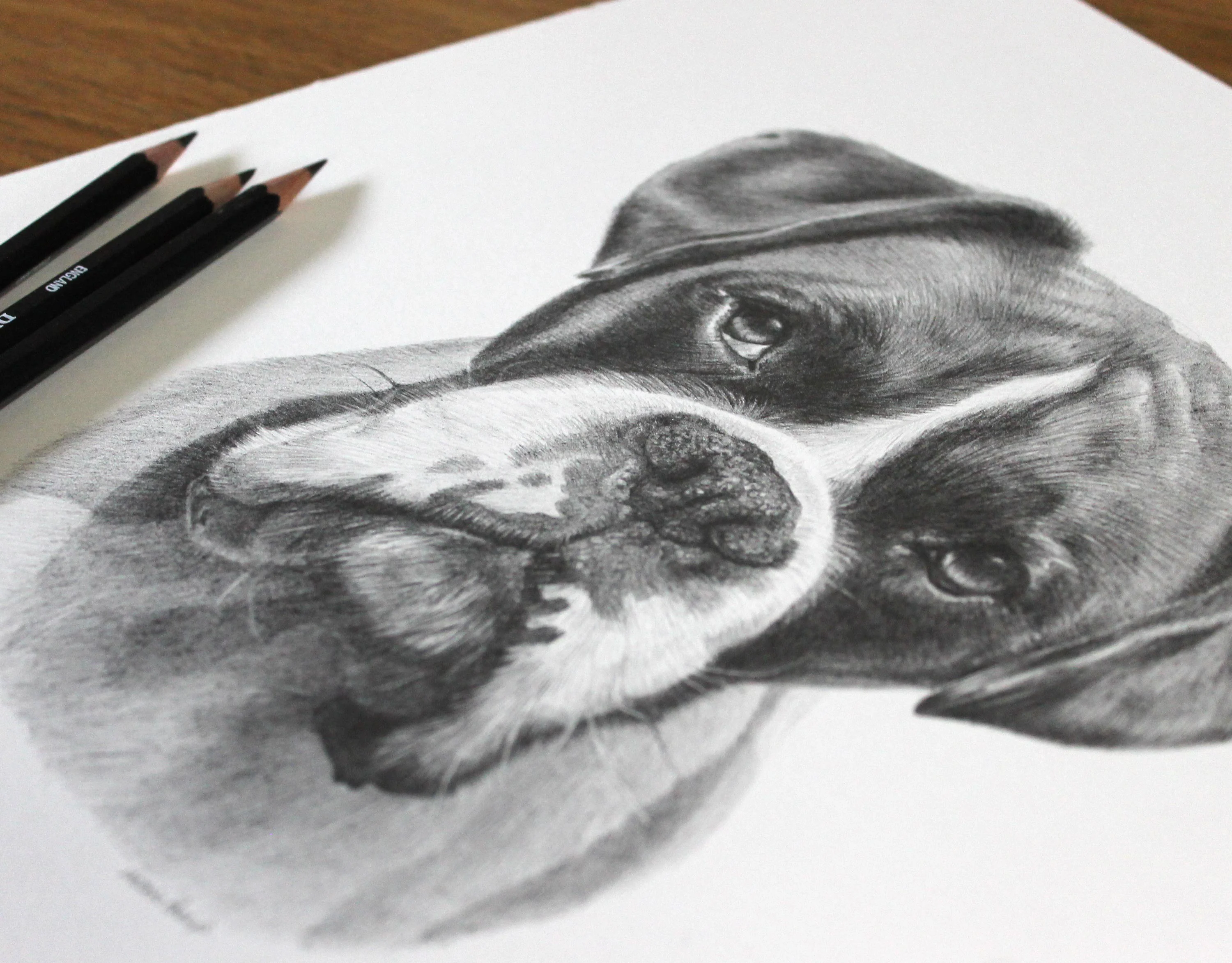 Graphite pencil portrait of a Boxer dog, showcasing fine detail, with black pencils resting beside the artwork.