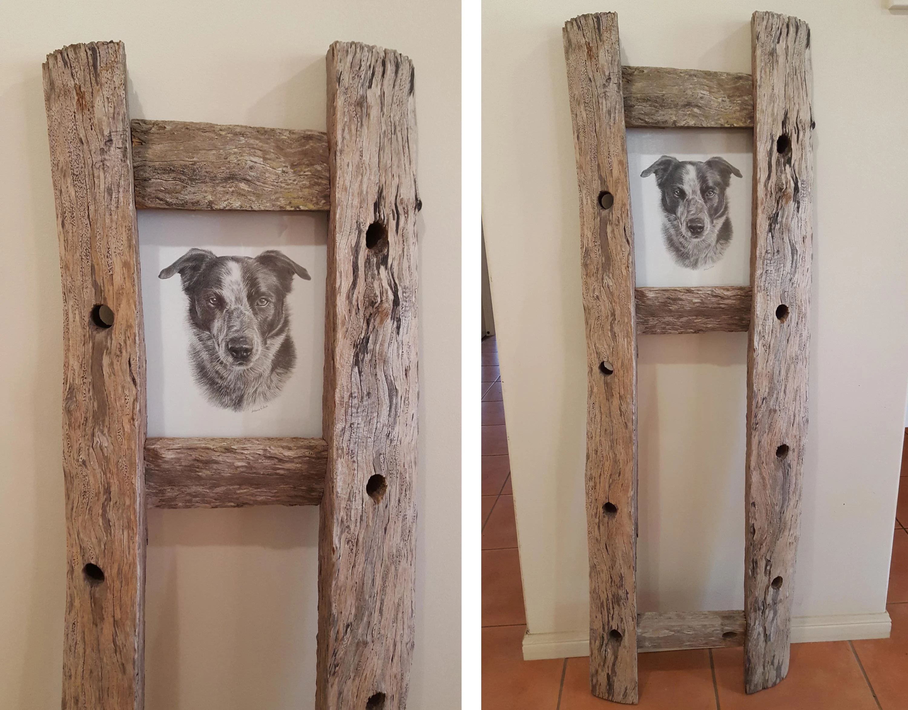A pencil portrait of a Border Collie dog displayed within a unique, rustic handmade frame crafted from old fence posts.