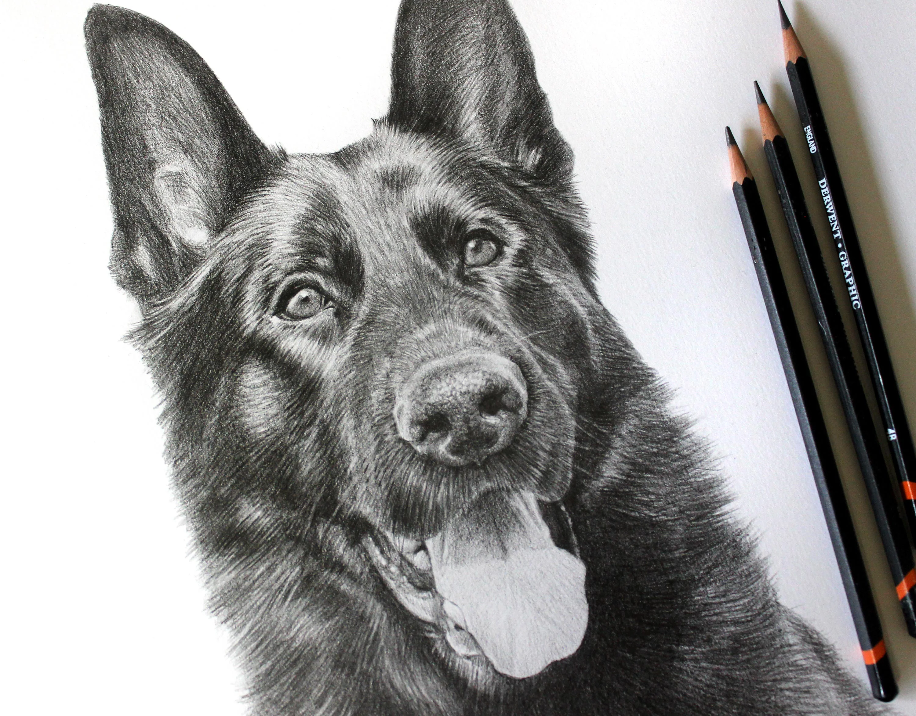 Detailed graphite pencil portrait of a German Shepherd, Django, with visible Derwent Graphic pencils beside the artwork.