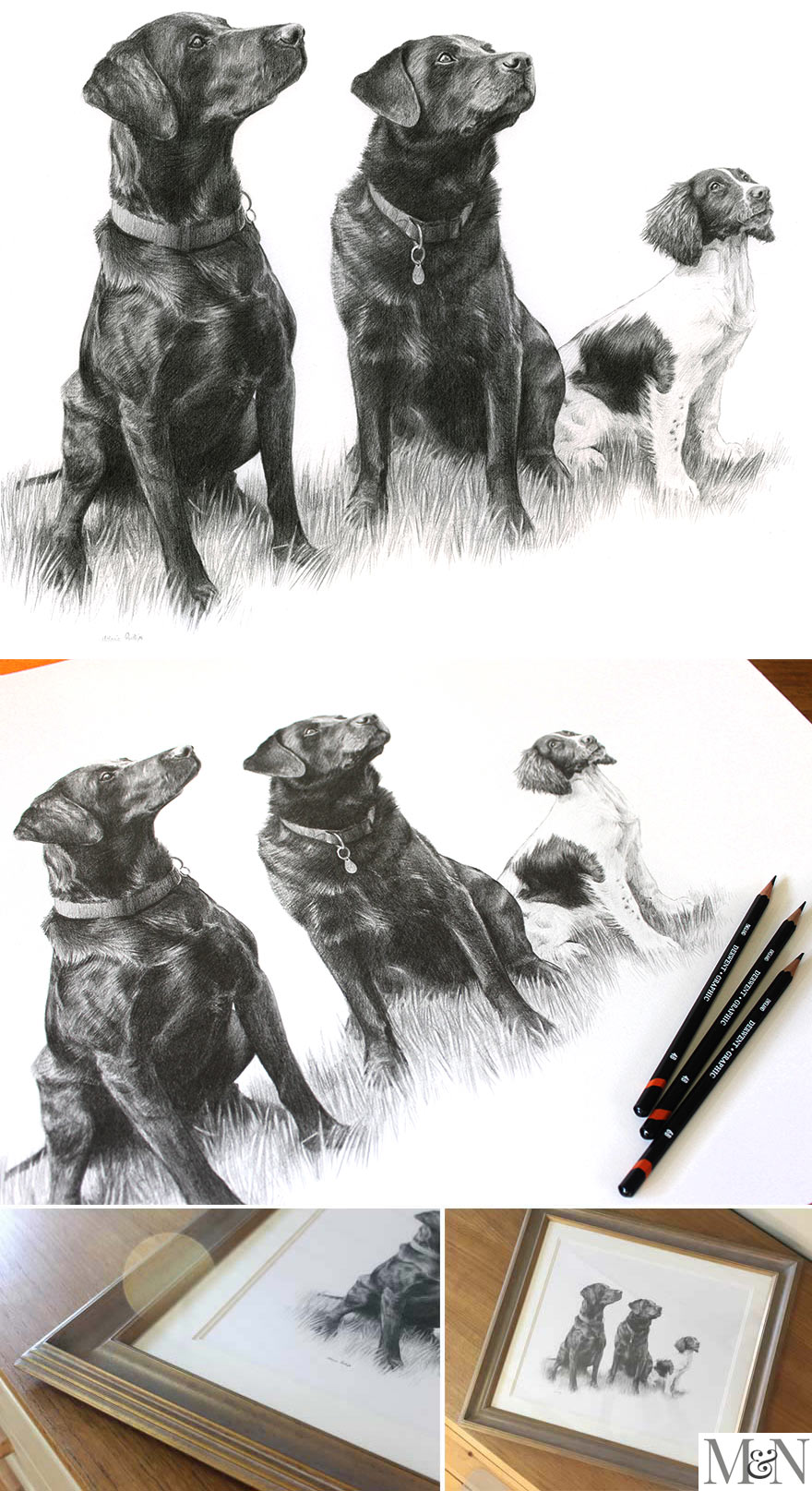 pets in pencil