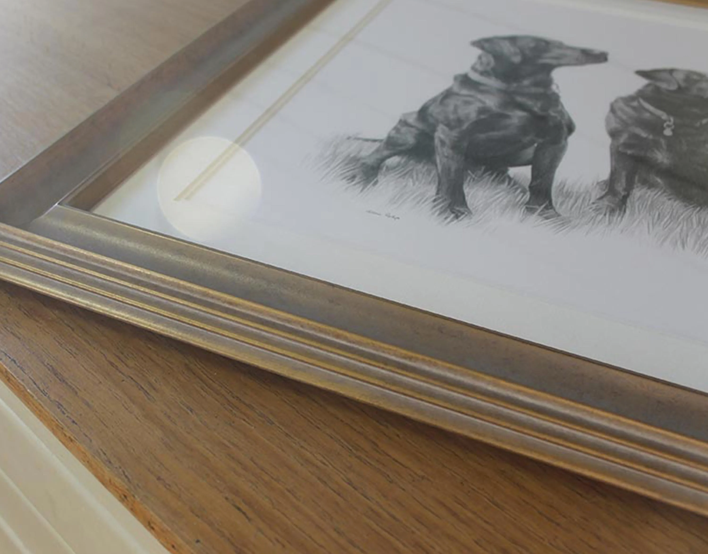 Framed pencil portrait of Labradors and a Springer Spaniel displayed on a wooden shelf, showcasing the elegant framing.