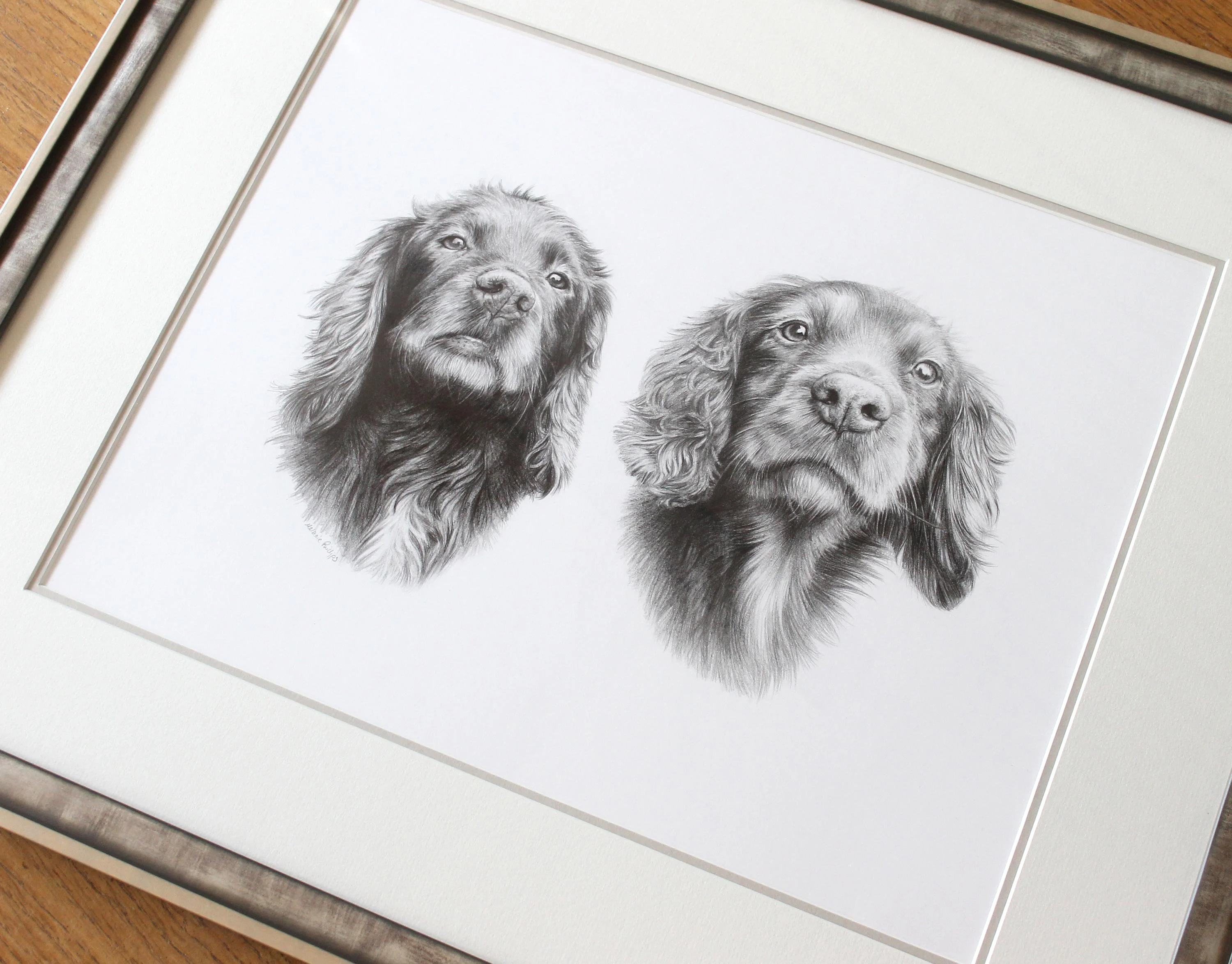Framed double pencil portrait of two Spaniel dogs, Jenny and Fern, drawn in fine detail and mounted under glass.