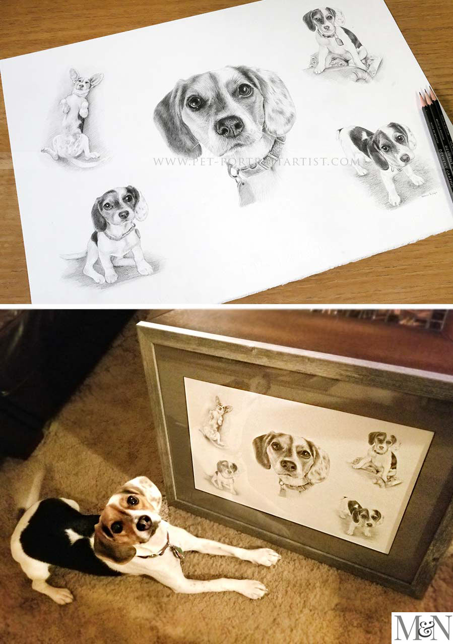 Pencil Pet Portraits