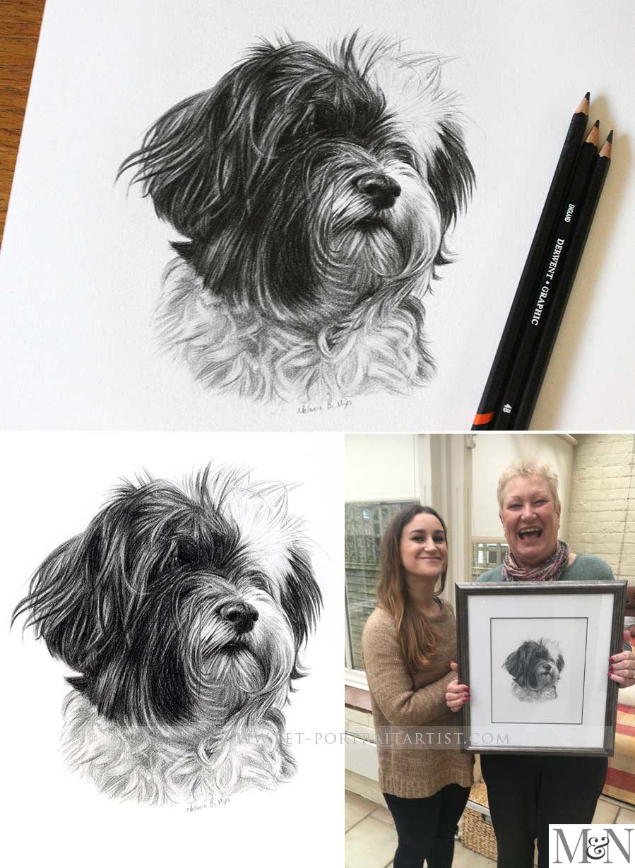 Dog Portraits