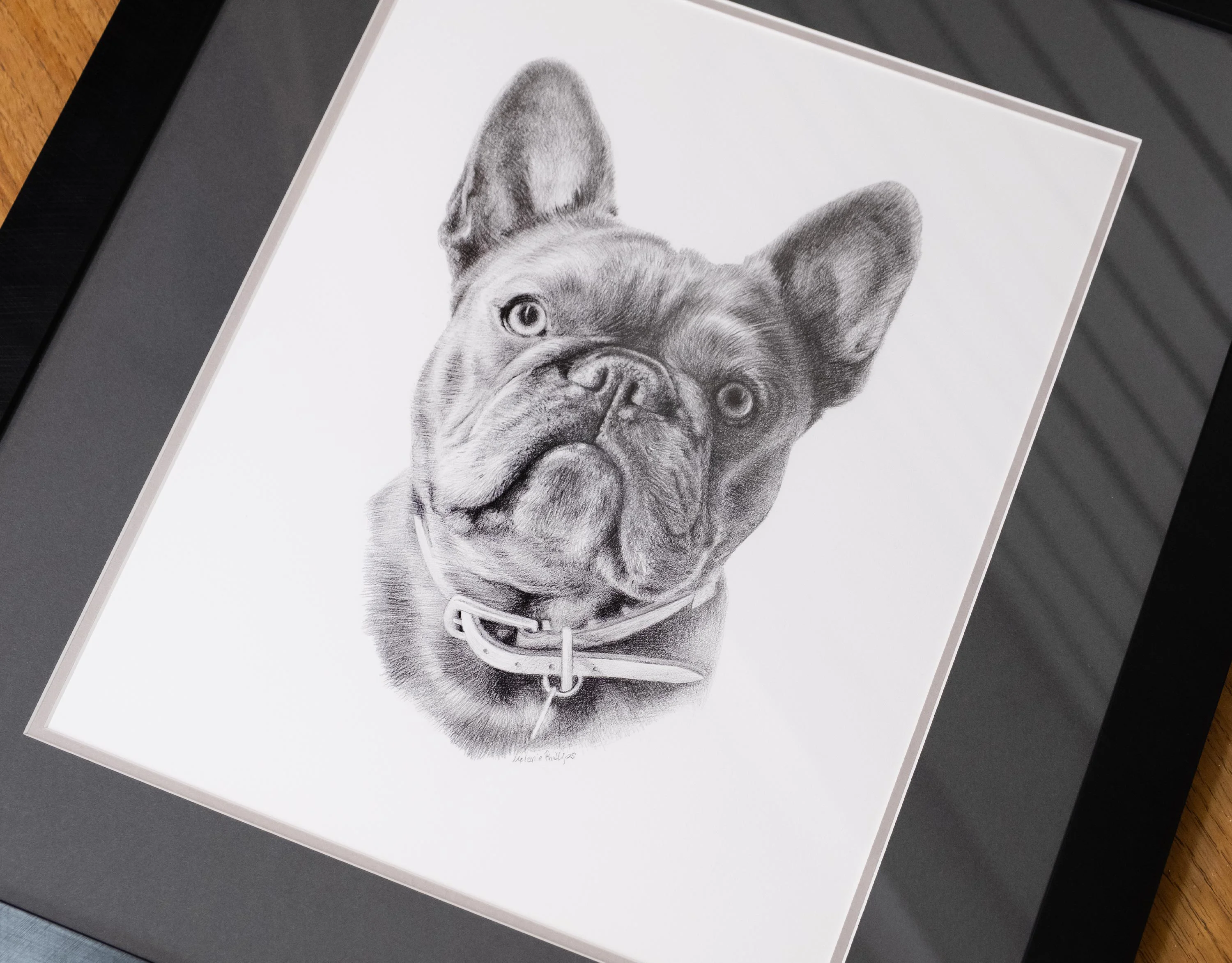 Close-up pencil portrait of a French Bulldog (Memphis) with expressive eyes and visible texture, accompanied by Derwent Graphic pencils.