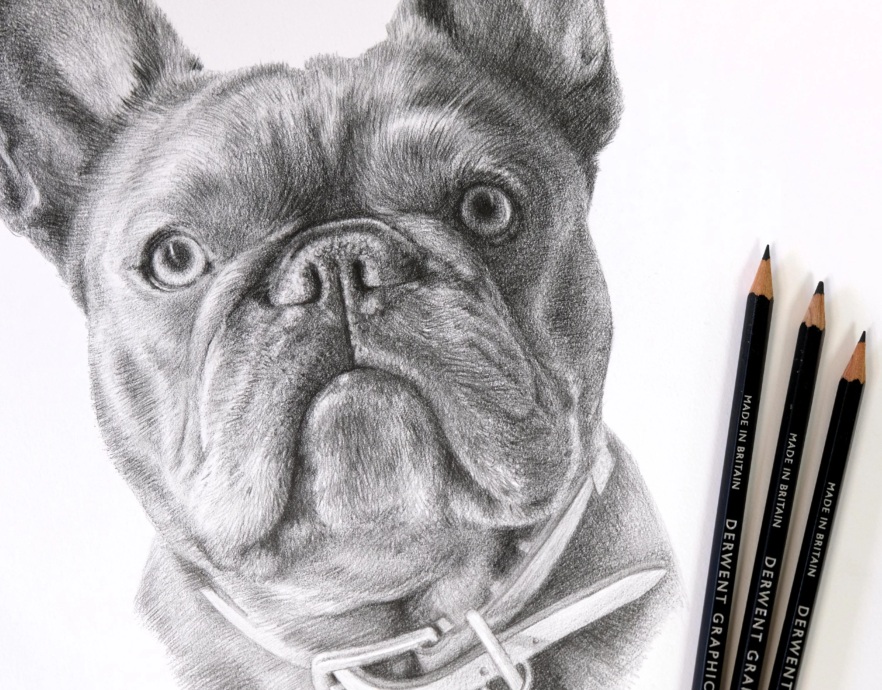 Framed pencil portrait of a French Bulldog (Memphis) beautifully displayed on a polished wooden surface.