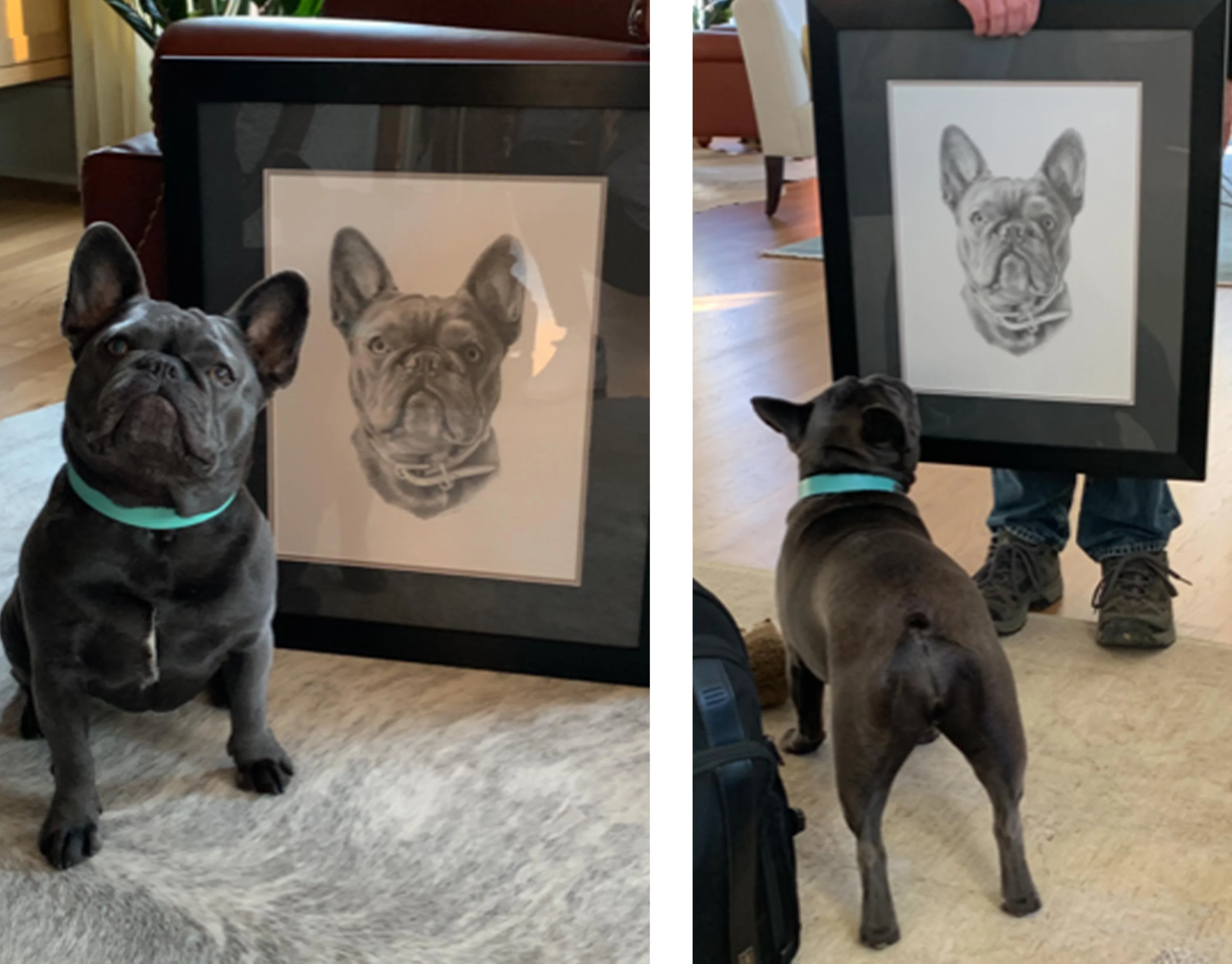 Graphite pencil drawing of a French Bulldog (Memphis) with three Derwent Graphic pencils resting beside the paper.