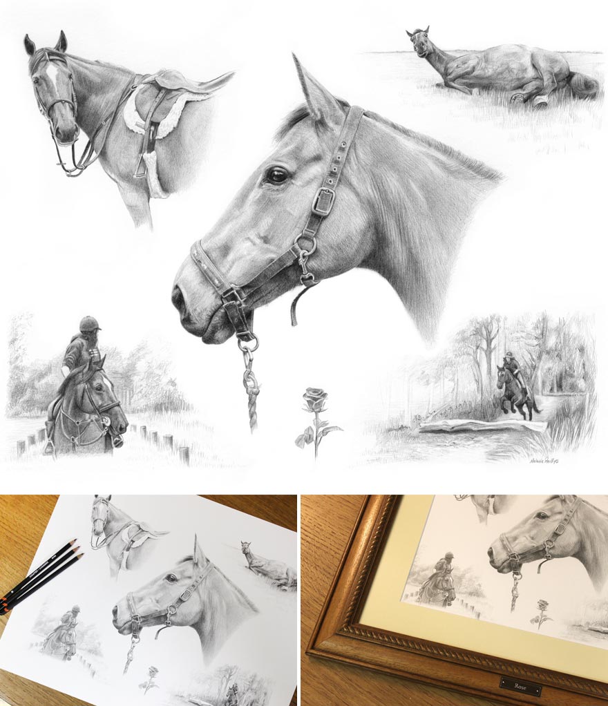 Montage Horse in Pencil