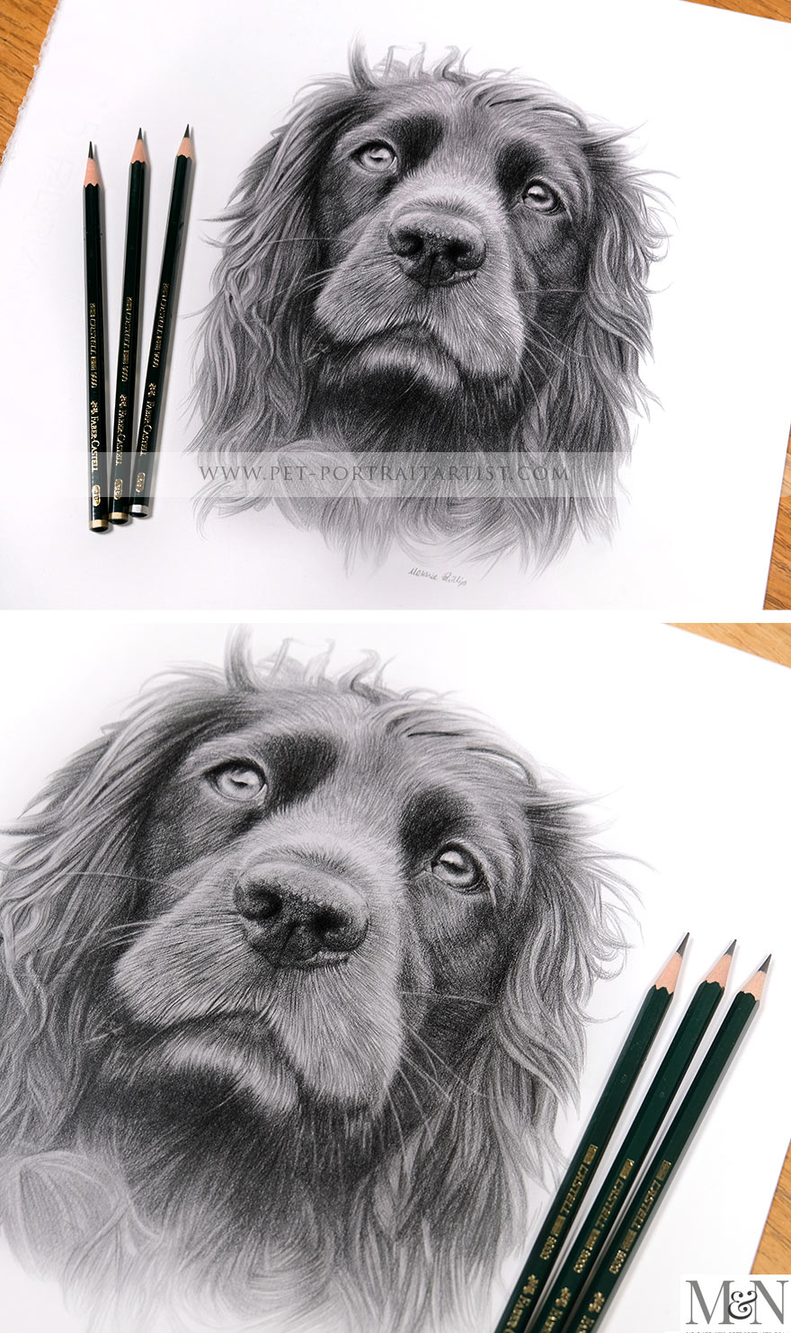 horse pet portraits pencil