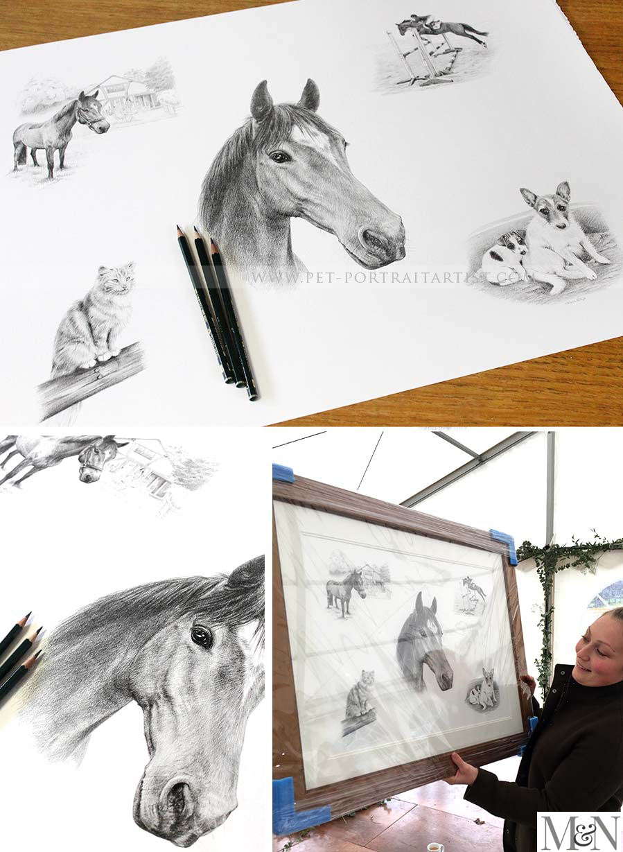 horse pet portraits pencils