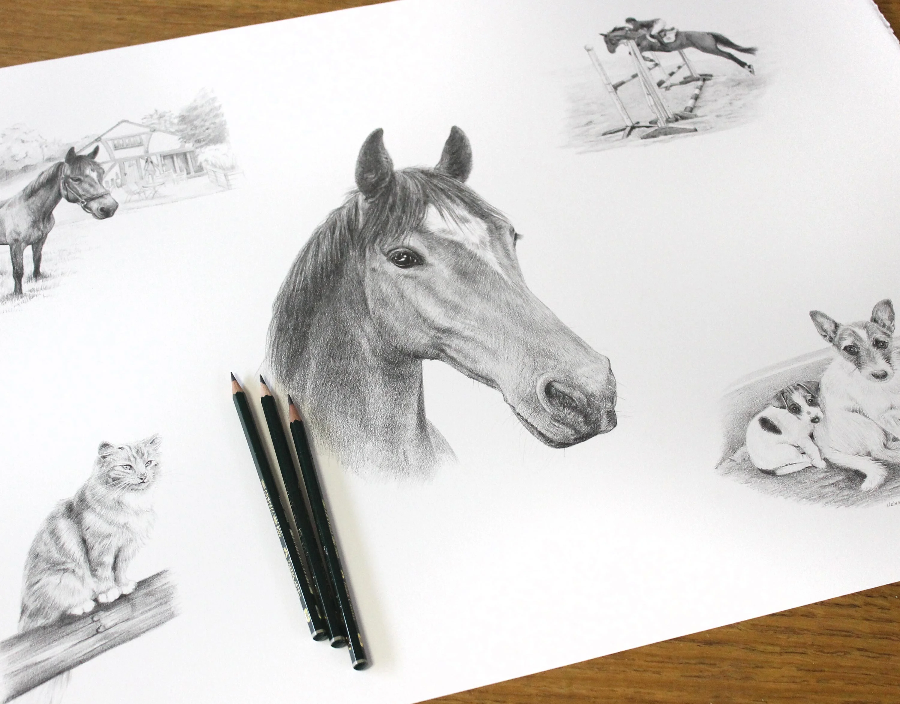 A dynamic pencil montage portrait featuring Locksie the horse in various poses, alongside a cat and two Jack Russell dogs, including a detailed showjumping scene.