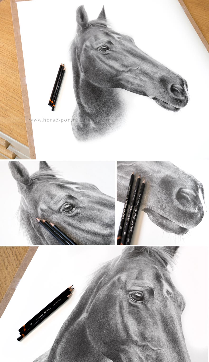 Horse Portrait in Pencil