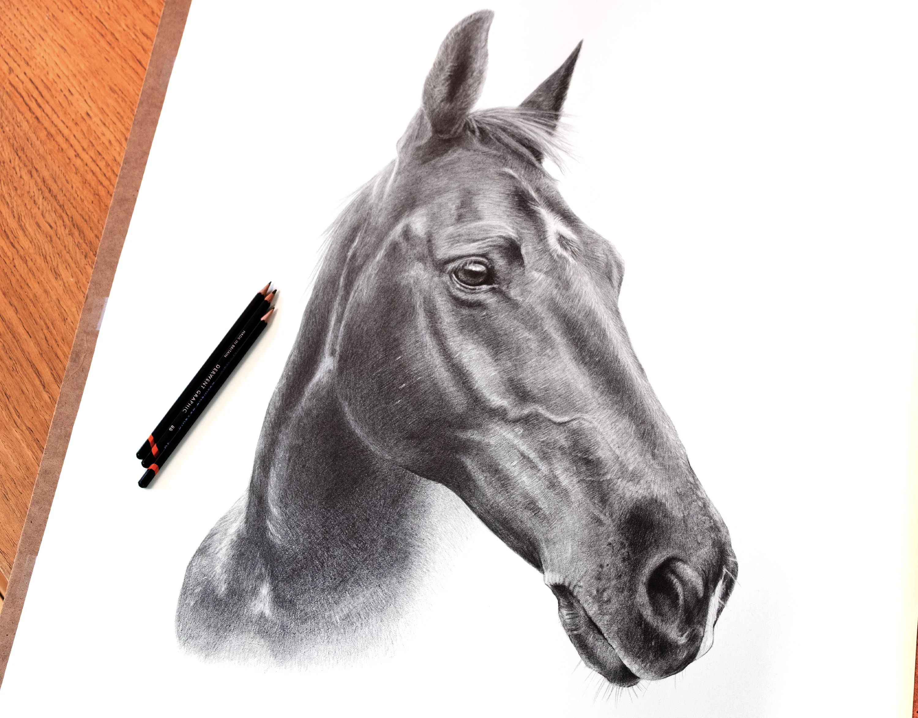 Highly detailed pencil portrait of Flash, a bay horse, with Derwent Graphic pencils visible beside the drawing.