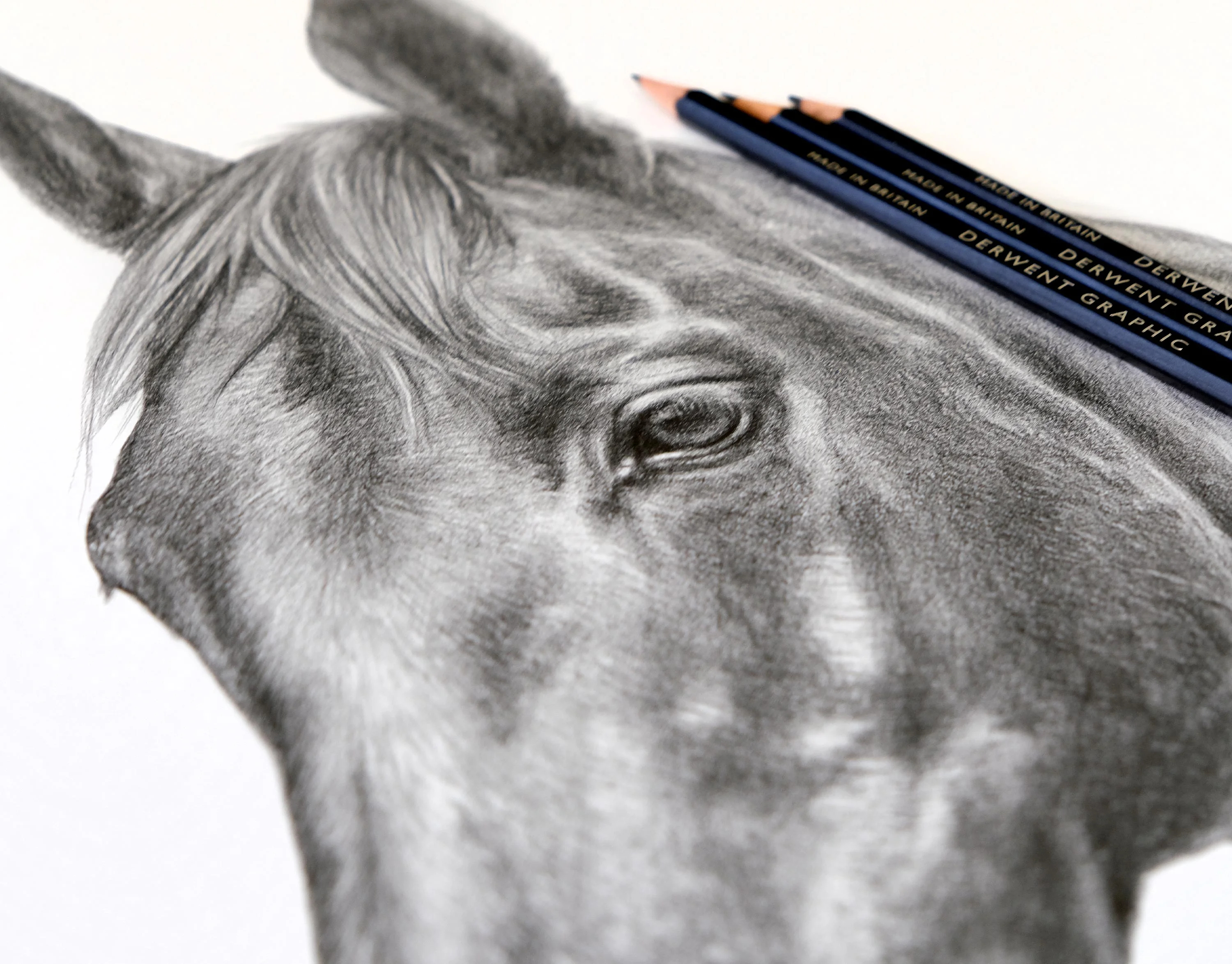 Classic pencil drawing of Duker the horse's head, with Derwent Graphic pencils displayed beside it, highlighting the artistry.