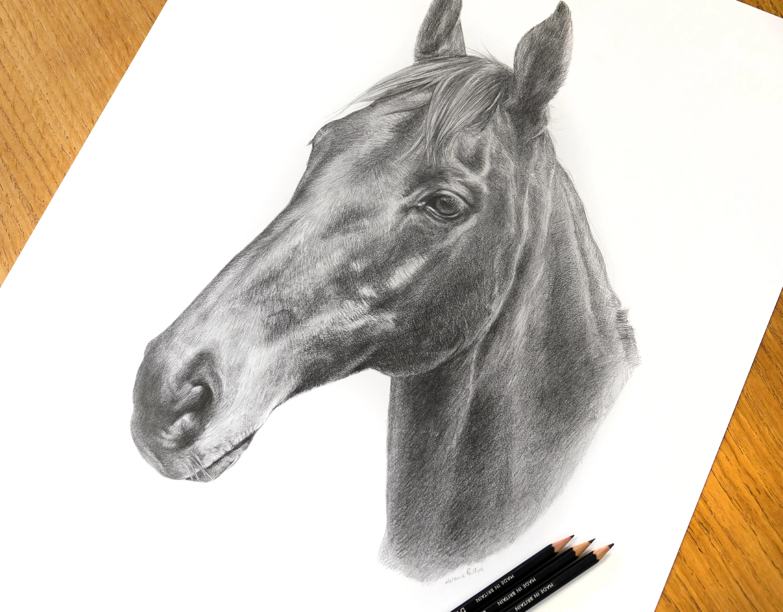 Full view of the horse pencil portrait of Duker on an artist’s desk, showcasing lifelike detail and expert shading.