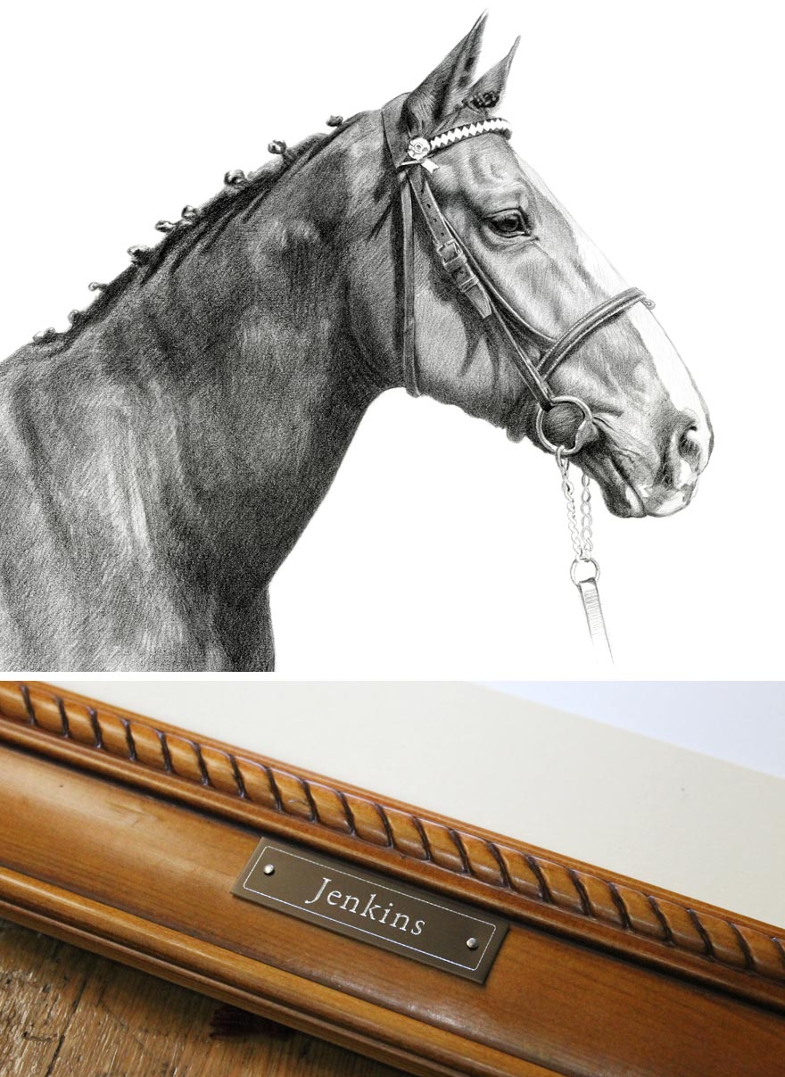Horse Portraits in Pencil