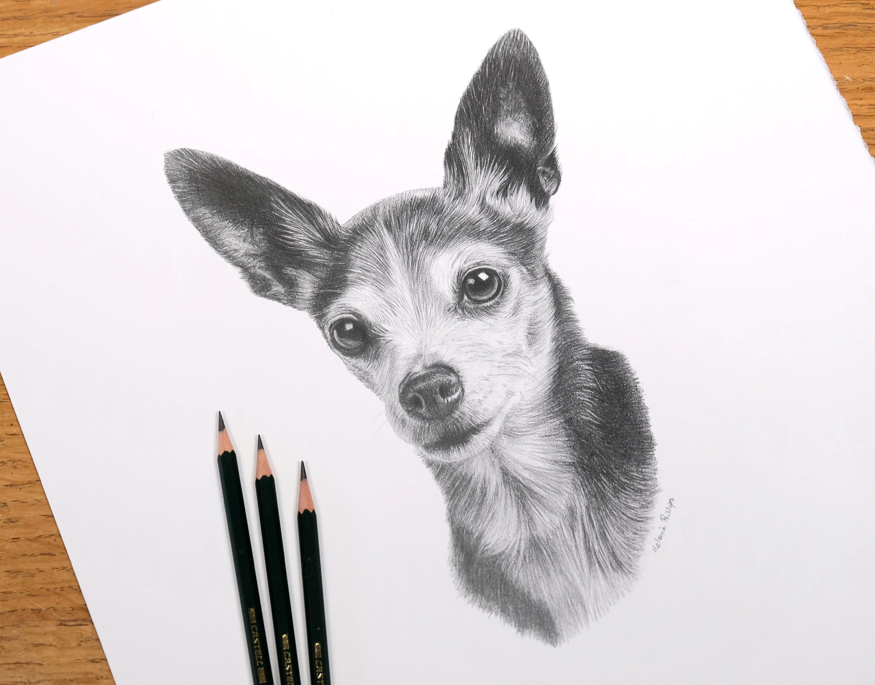 Smiling woman holding her Chihuahua (Jasper) next to a framed pencil portrait of the dog, showcasing the finished artwork.