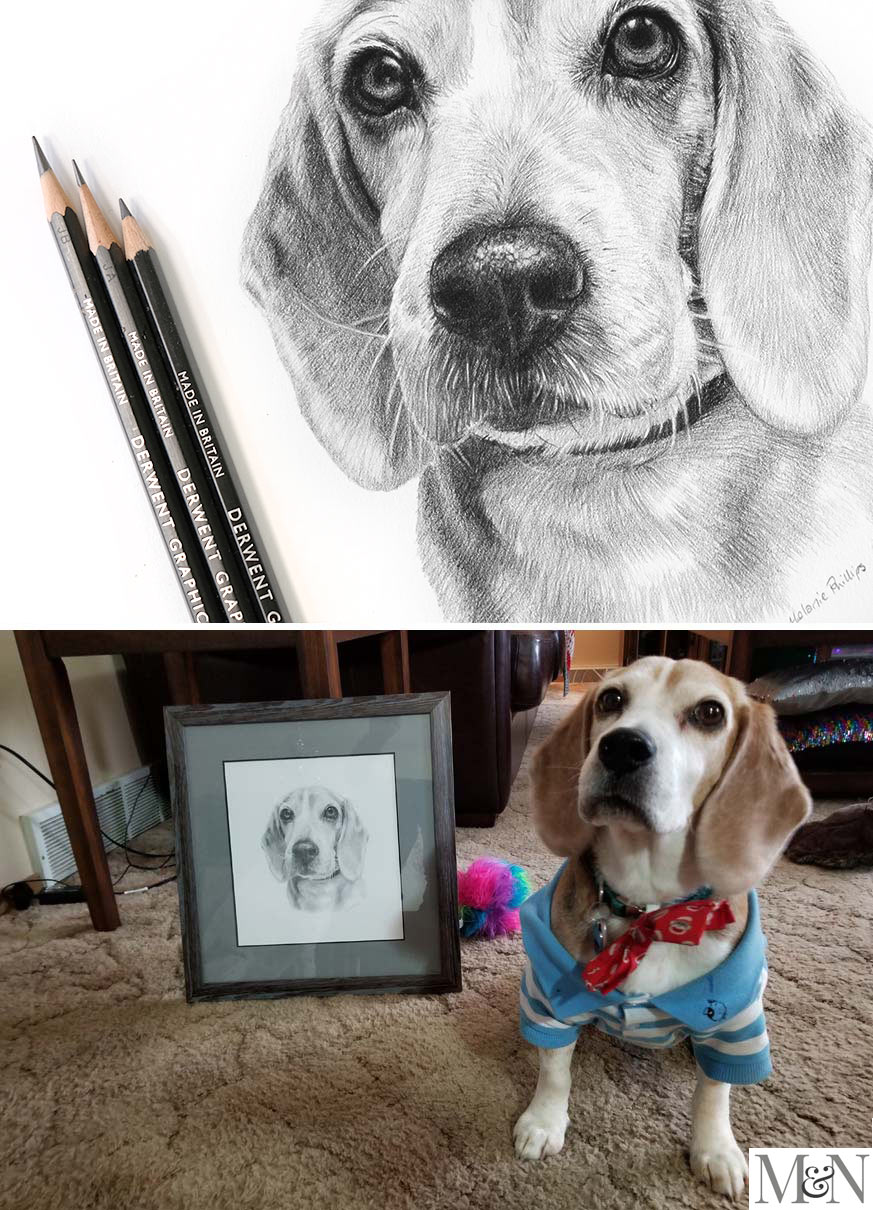 Pencil Pet Portraits