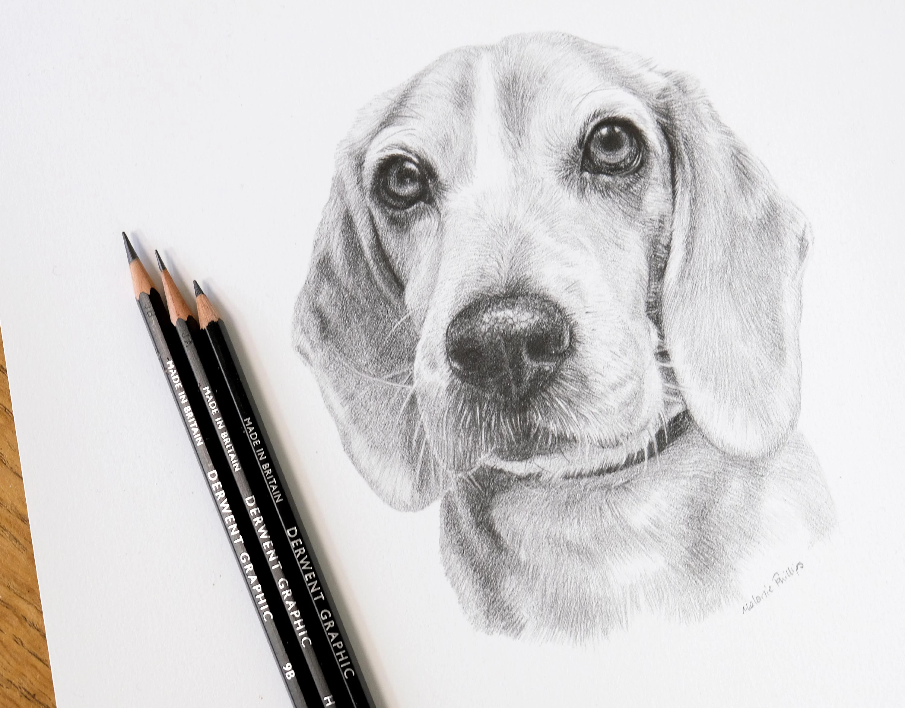 A pet owner (Ben) holding a framed pencil portrait of his dog, Blue, alongside the real dog, a small breed wearing a shirt.