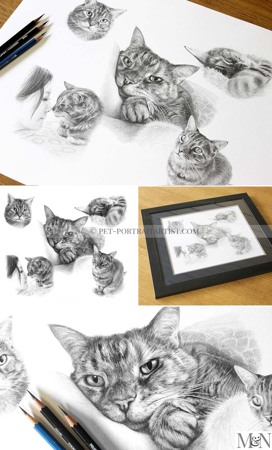 Pencil Cat Portraits