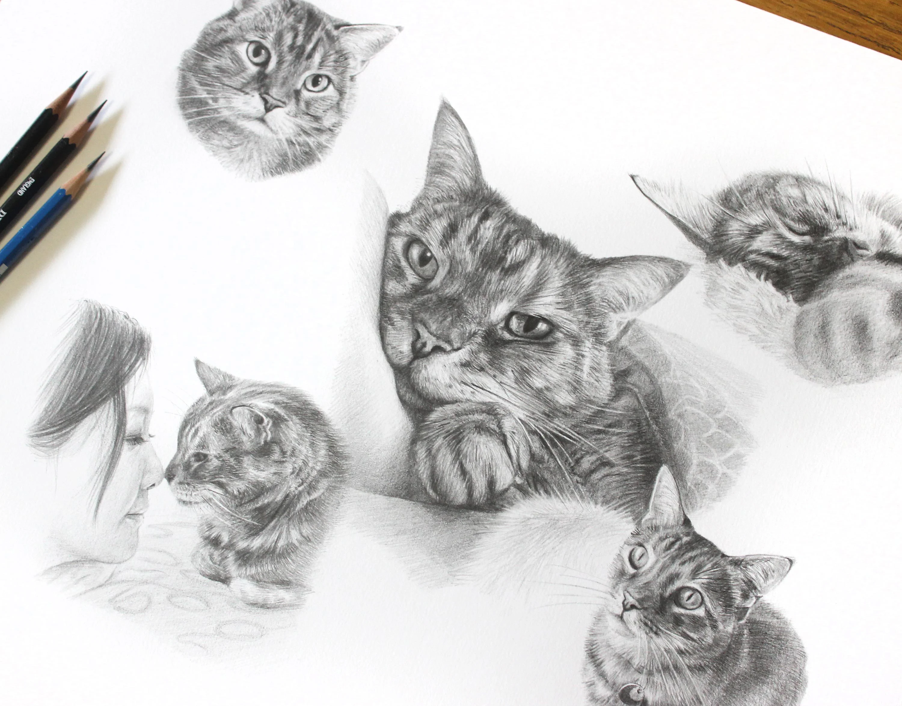 Pencil cat portrait montage of Gilli showing relaxed and affectionate poses, highlighting the versatility of the artwork.