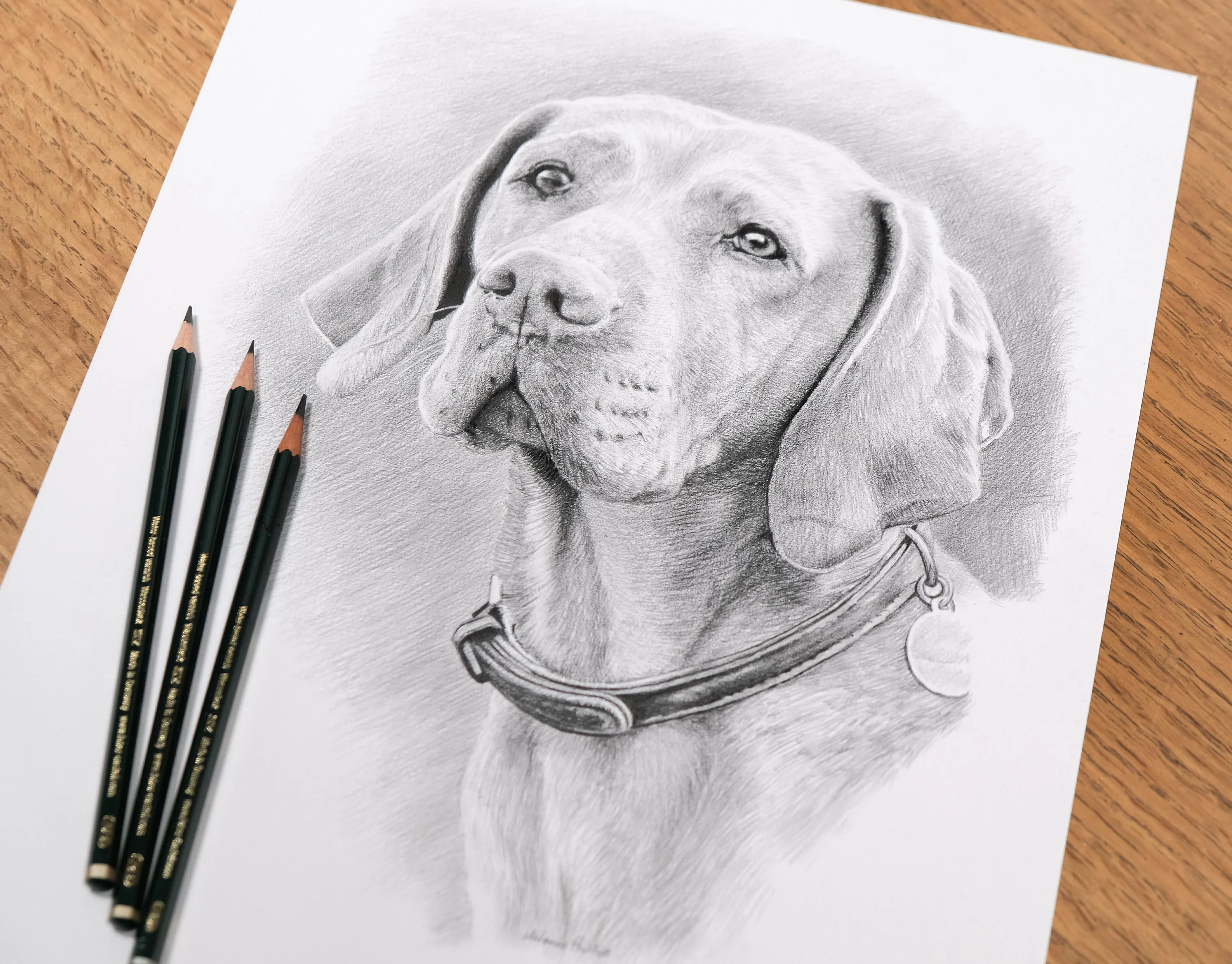 Lifelike graphite pencil portrait of Watson, a Hungarian Vizsla dog, featuring soft shading and accompanied by Derwent Graphic pencils on the side.