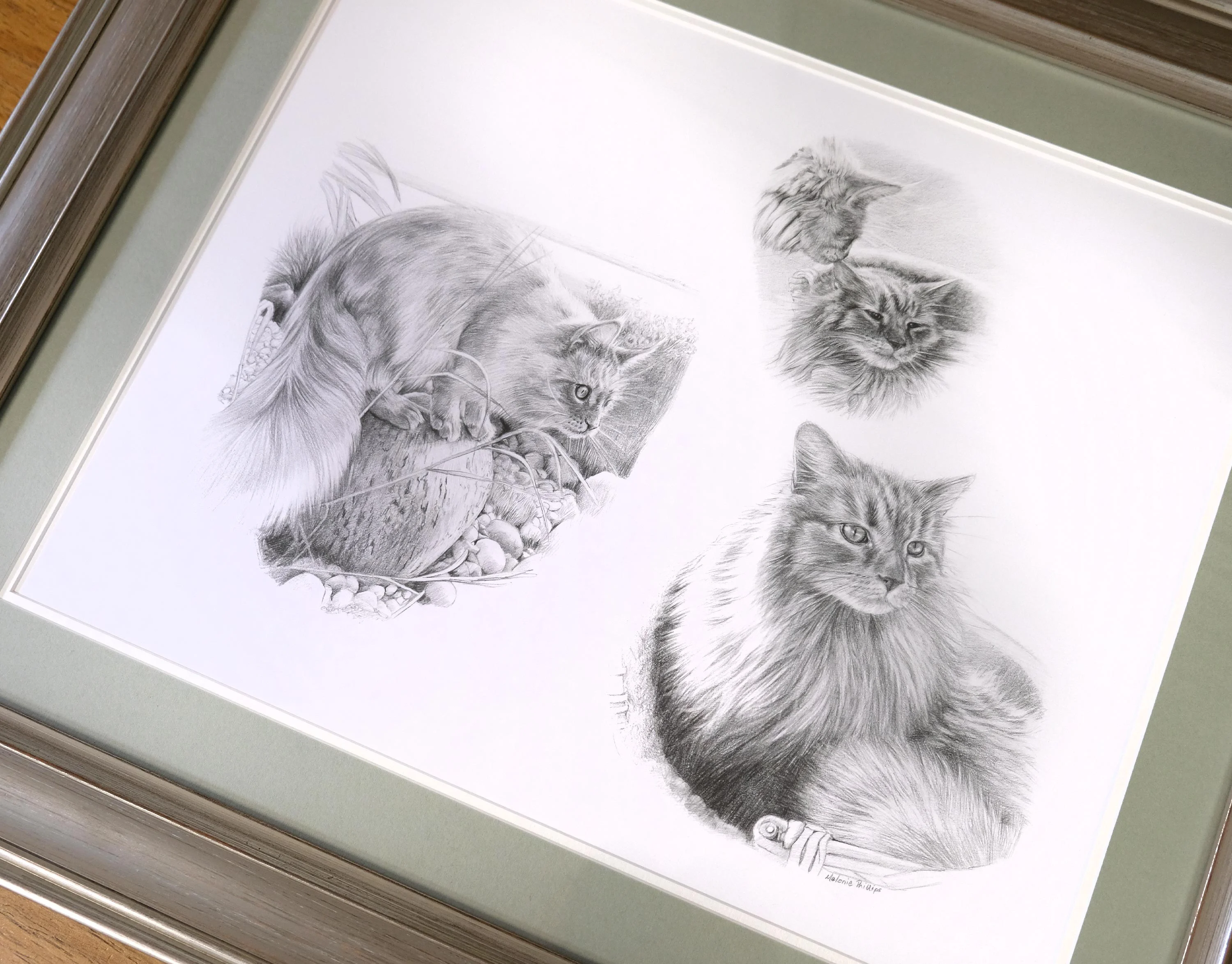 Framed pencil portrait of three cats by Melanie Phillips, presented as a custom montage drawing, beautifully displayed in a home setting.