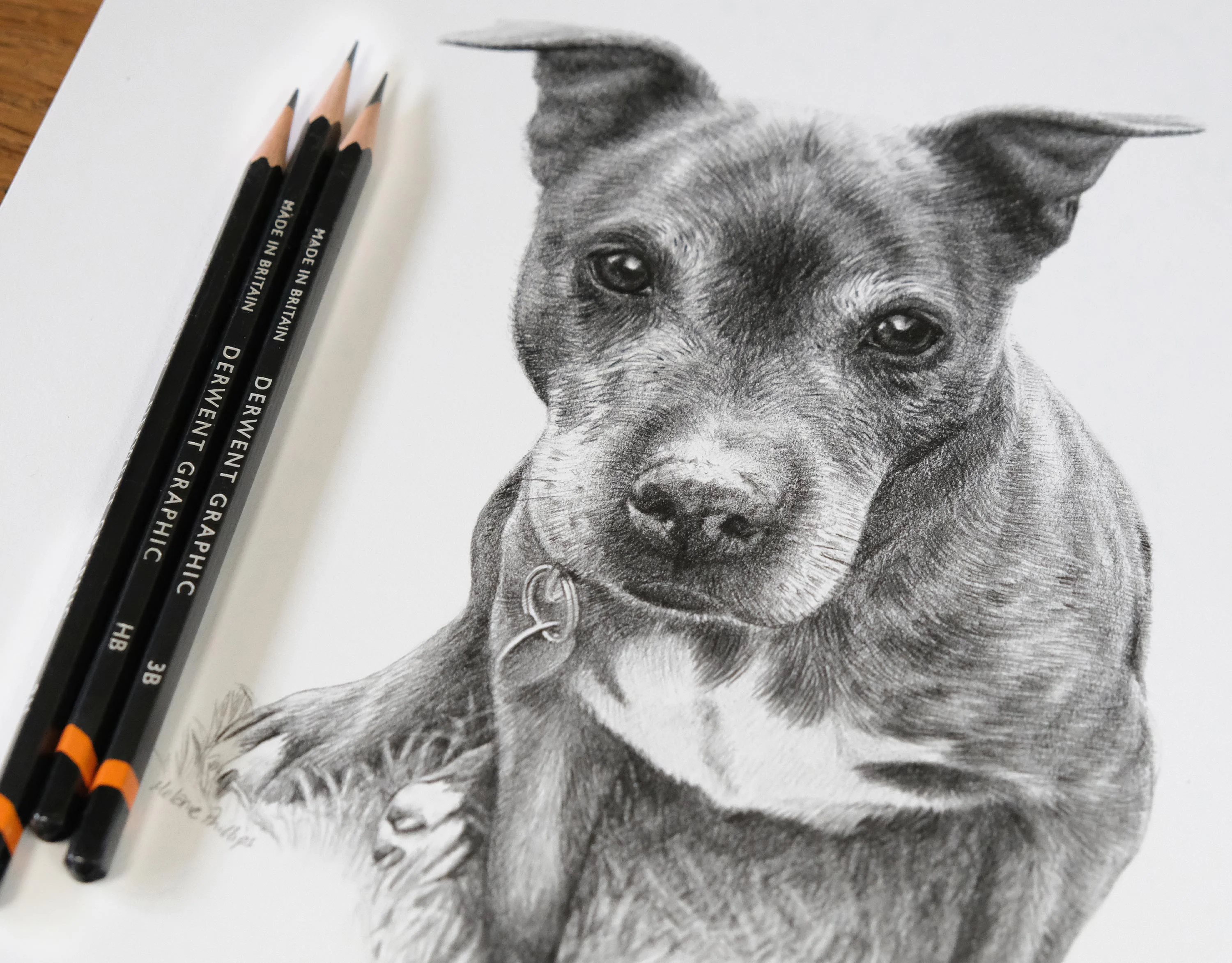 Lifelike graphite pencil drawing of a Staffie dog, with three Derwent Graphic pencils resting beside the artwork.