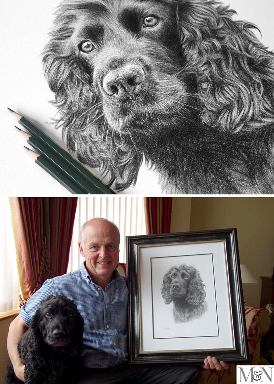 Pencil Pet Portraits