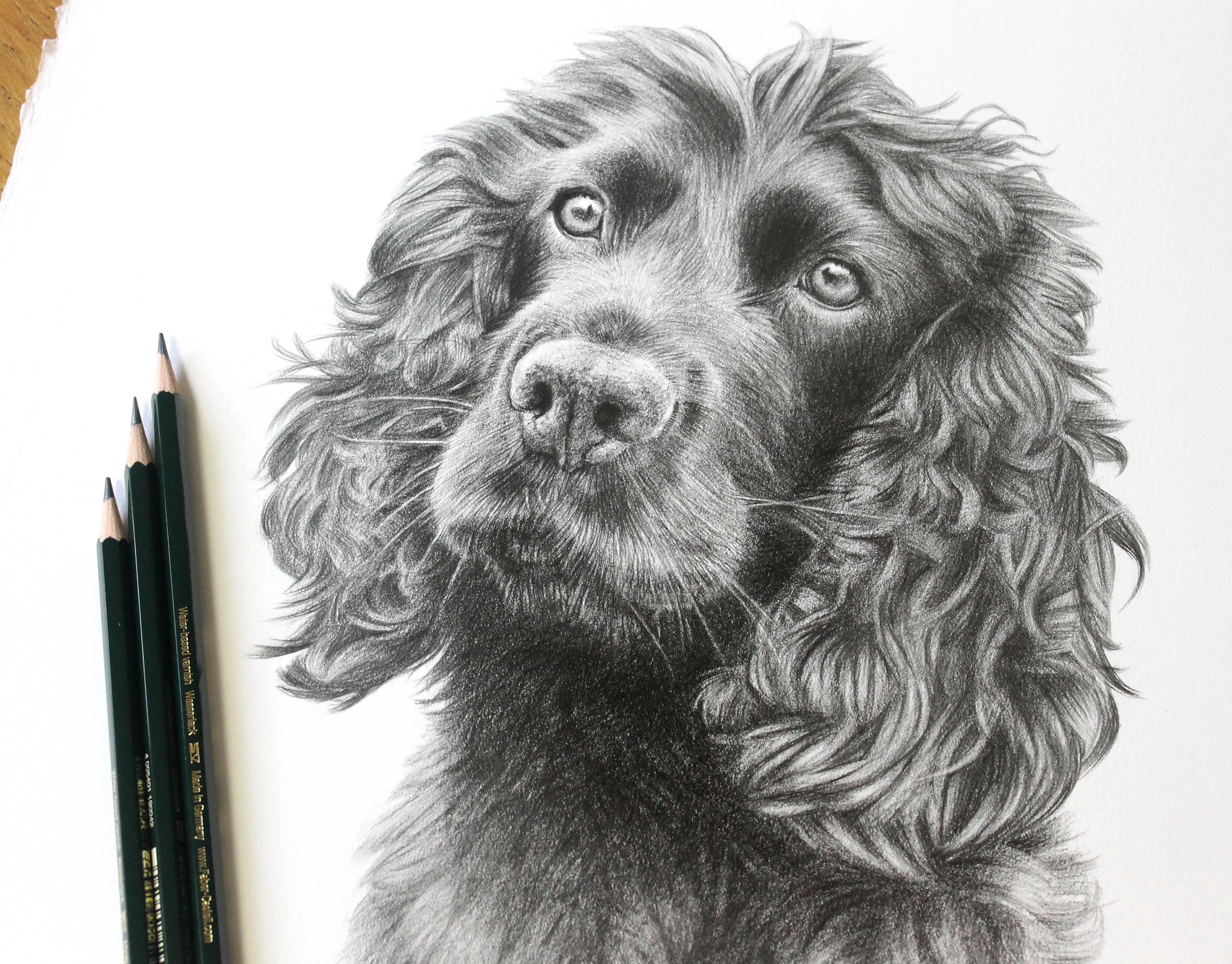 Dave, the owner, proudly holding a framed pencil portrait of his Cocker Spaniel, Brodie, with the real dog sitting beside him.