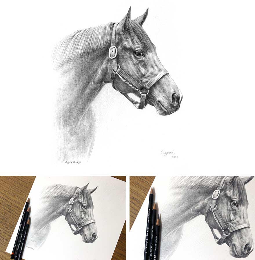 Portraits of Horses