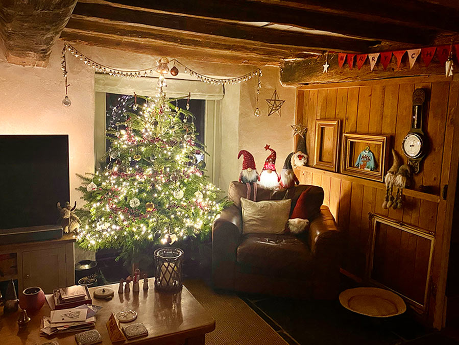 Christmas in Cottage