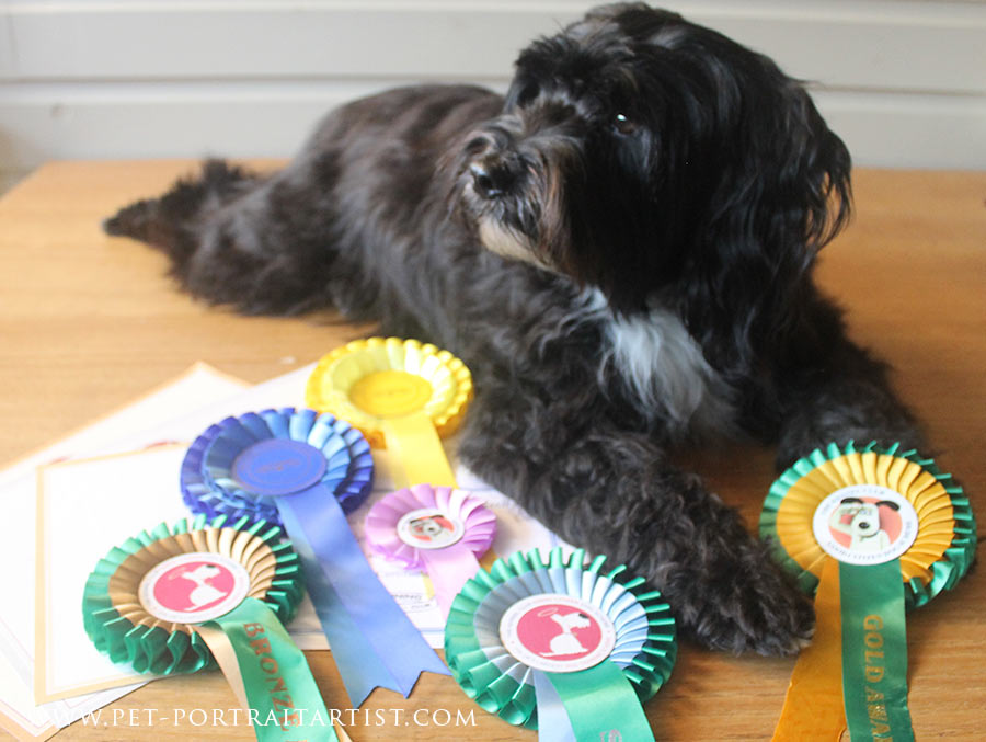 Lily with her Rosettes