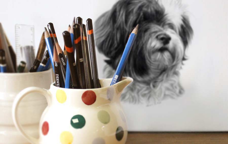 pet portraits pencils