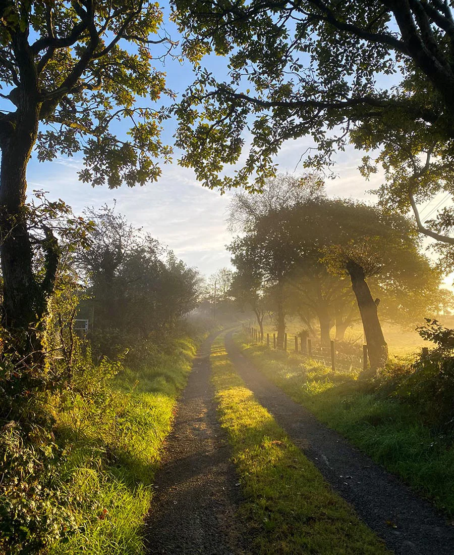 Melanie Phillips enjoying landscape photography in the picturesque Welsh countryside, holding a camera.