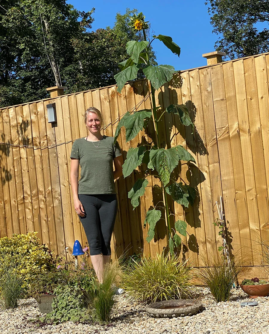 Melanie Phillips standing joyfully next to an impressively giant sunflower in her Welsh garden.